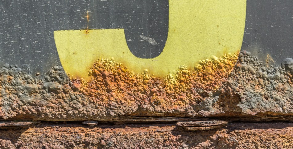 04172016 Dumpster Near Schoepfle Garden-17