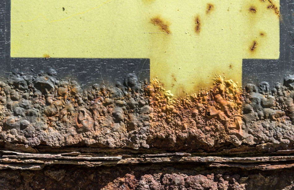 04172016 Dumpster Near Schoepfle Garden-22