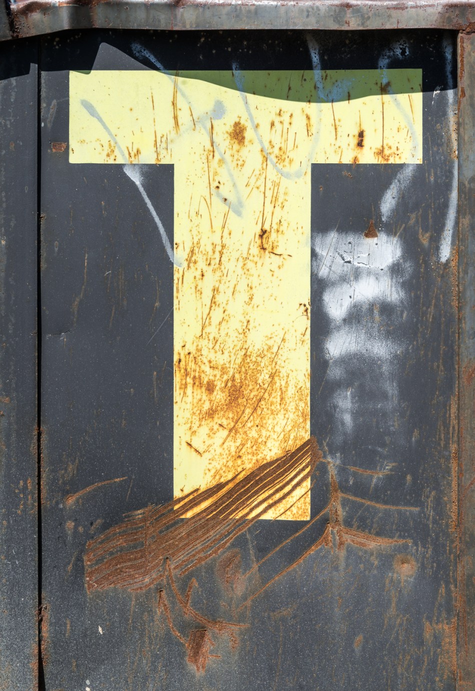 04172016 Dumpster Near Schoepfle Garden-3