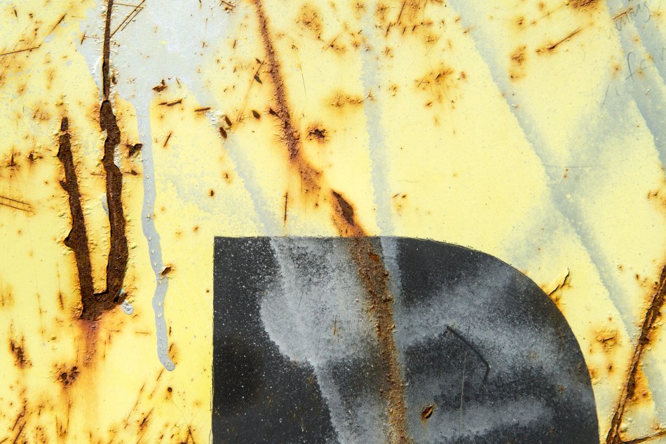 04172016 Dumpster Near Schoepfle Garden-9