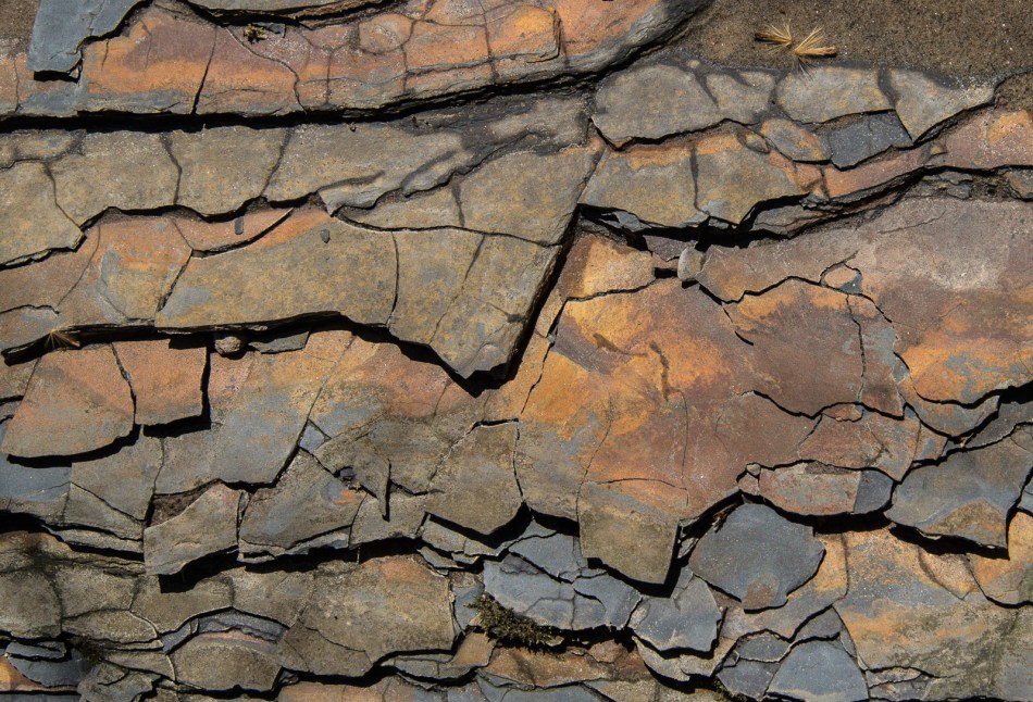 04172016 Schoepfle Garden-126