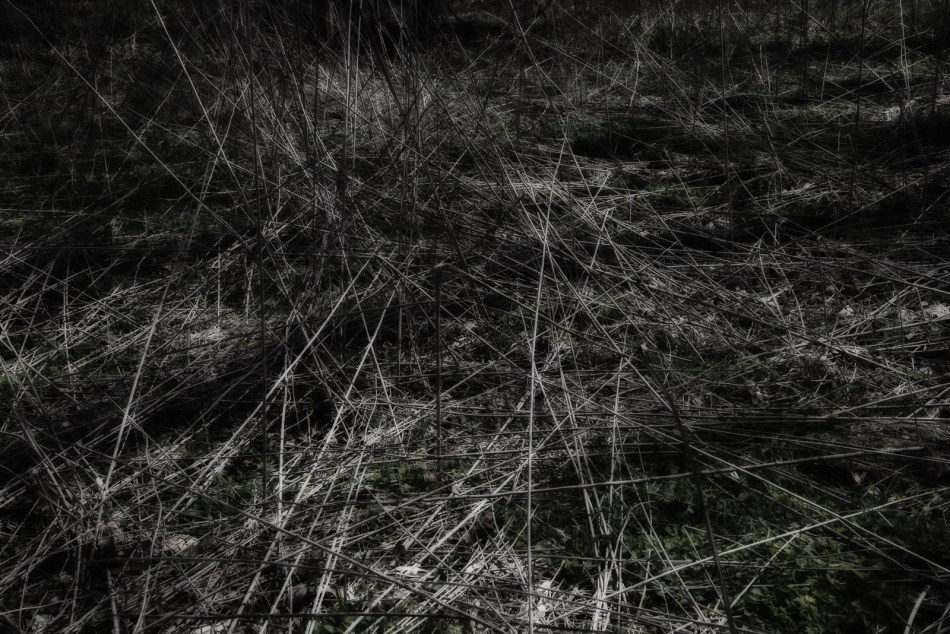 04172016 Schoepfle Garden-136-Edit