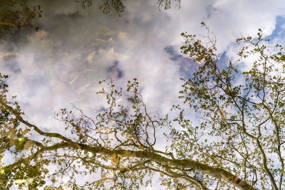 05222016 Schoepfle Garden-10