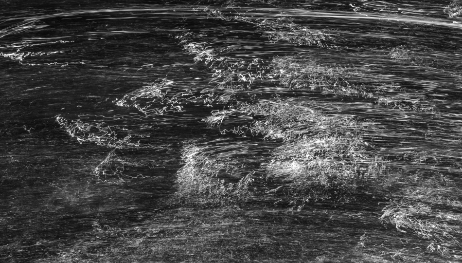 05222016 Schoepfle Garden-117-Edit