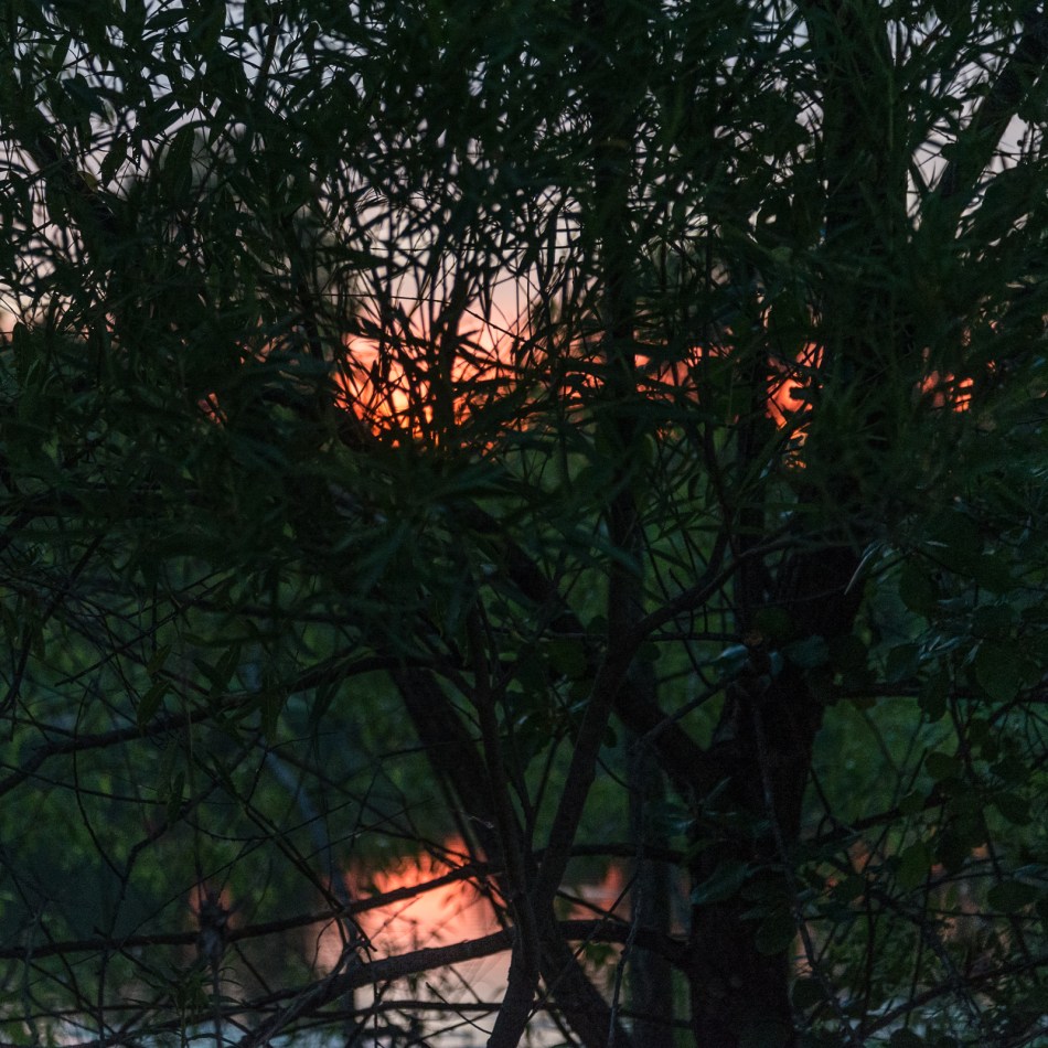 07032016 Kendal at Oberlin-22