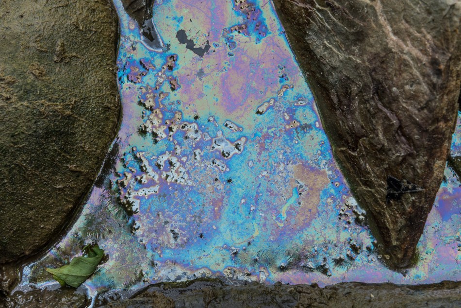 07192016 Schoepfle Garden-35