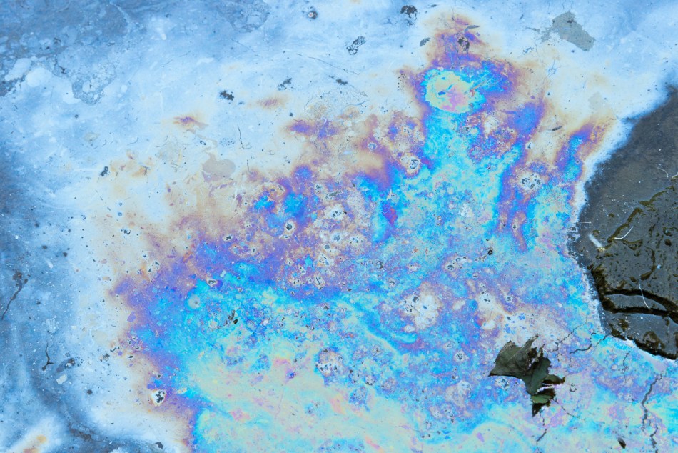 07192016 Schoepfle Garden-49