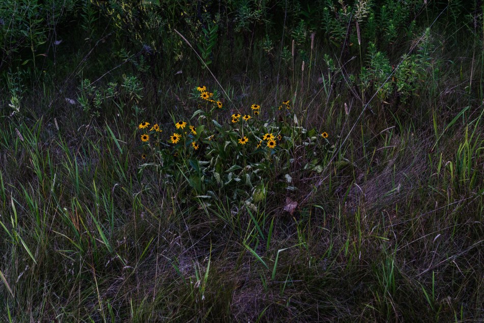 08012016 Kendal at Oberlin-11-Edit