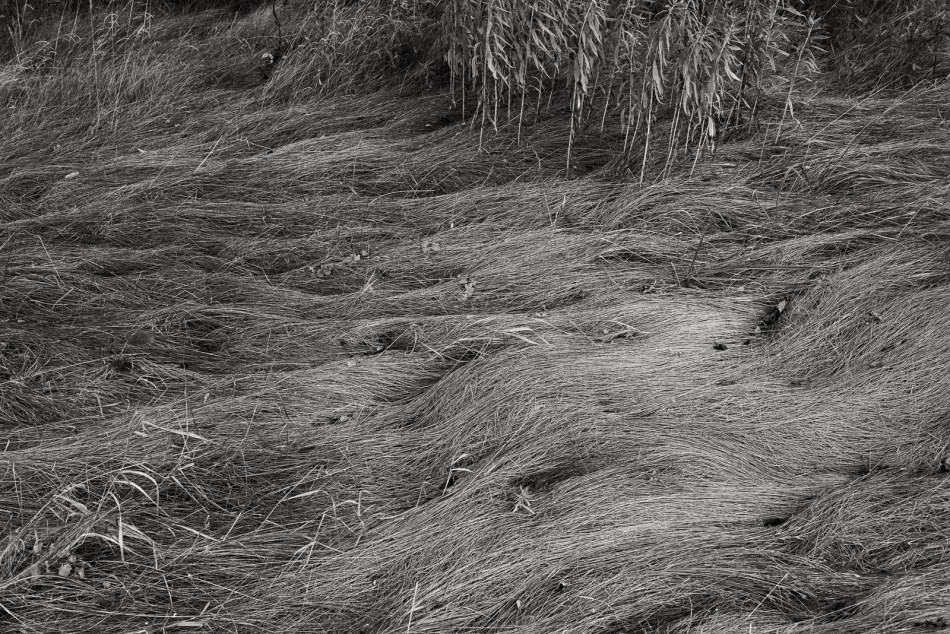 08012016 Kendal at Oberlin-23-Edit-Edit