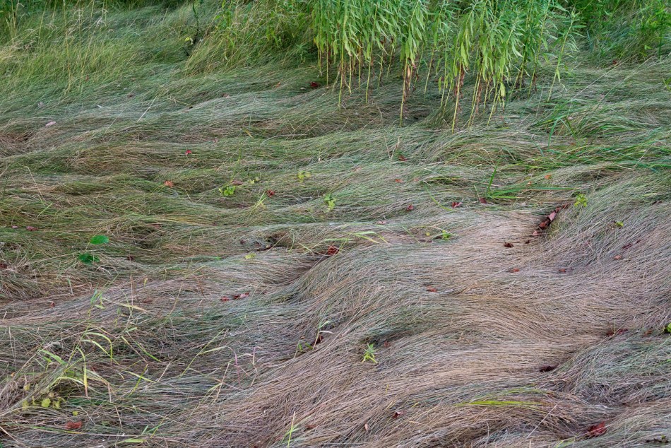 08012016 Kendal at Oberlin-23-Edit