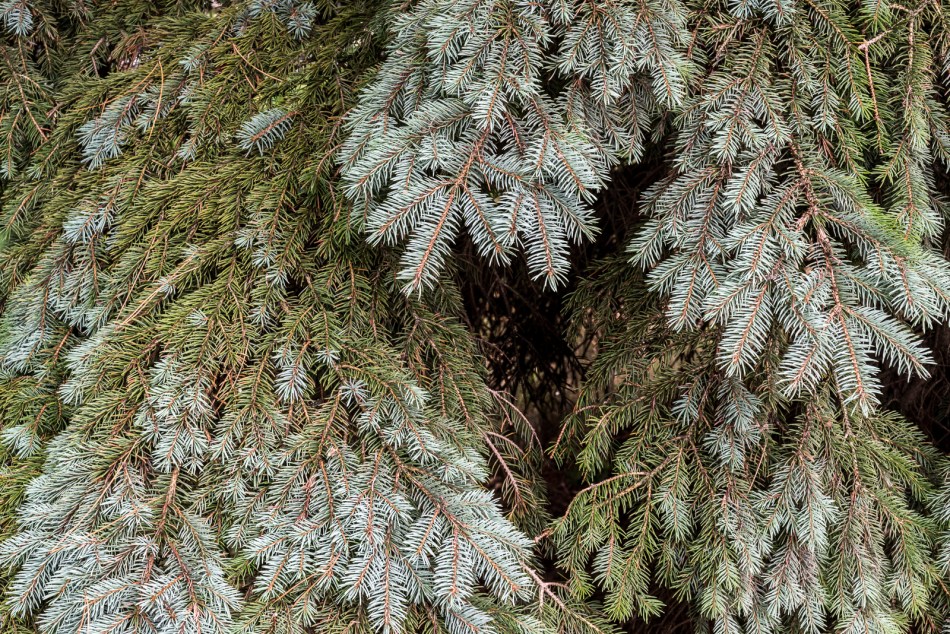 08142016 Kendal at Oberlin-41