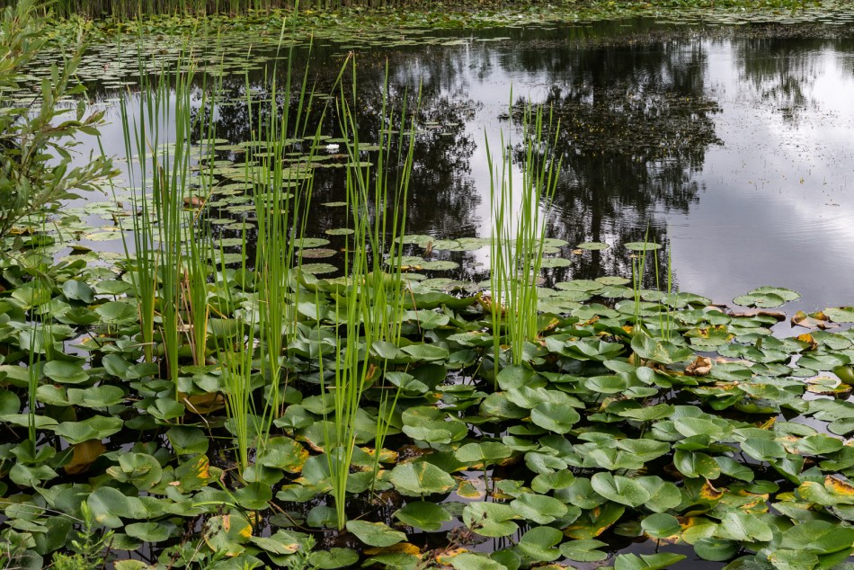 08142016 Kendal at Oberlin-47