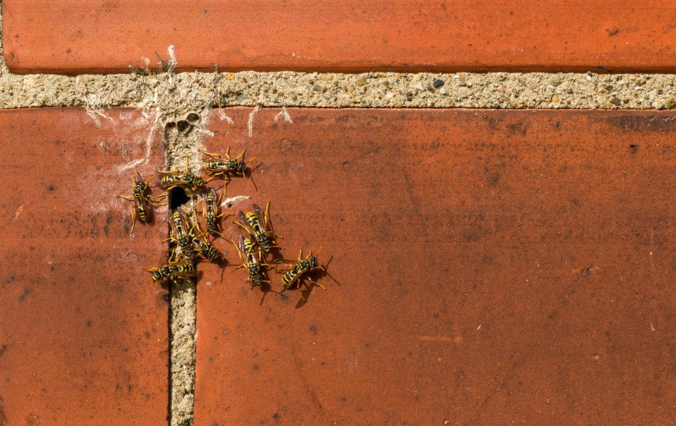 08212016 Caley Reservation-21