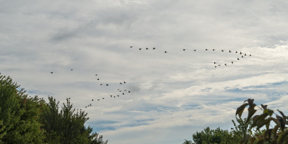 08212016 Caley Reservation-47