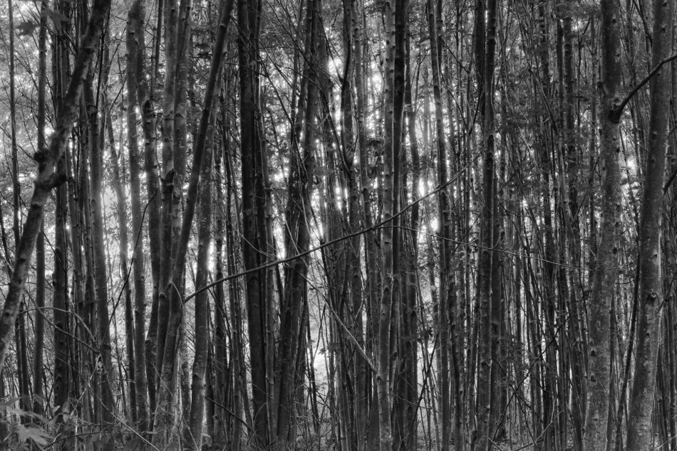 08212016 Caley Reservation-62-Edit-2