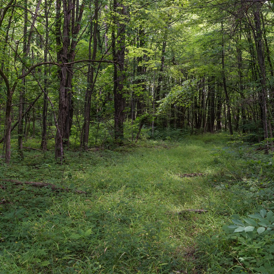 08212016 Caley Reservation-73-Edit