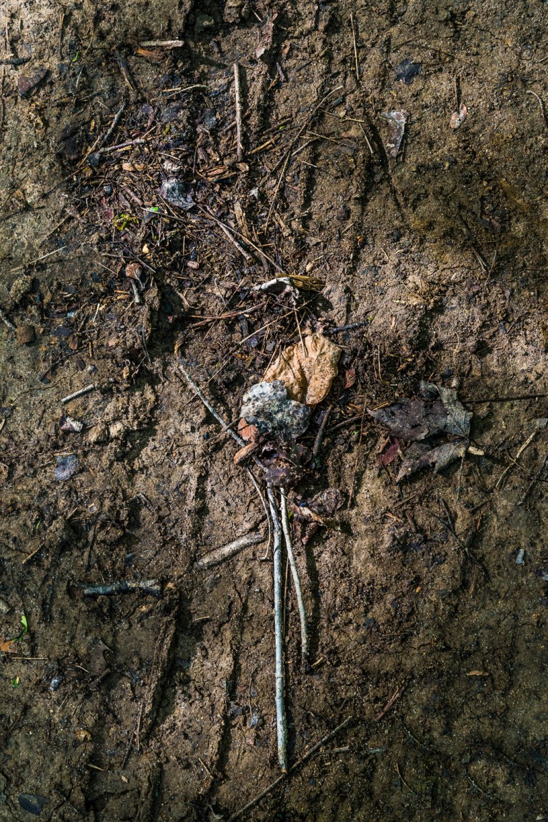 08212016 Caley Reservation-84