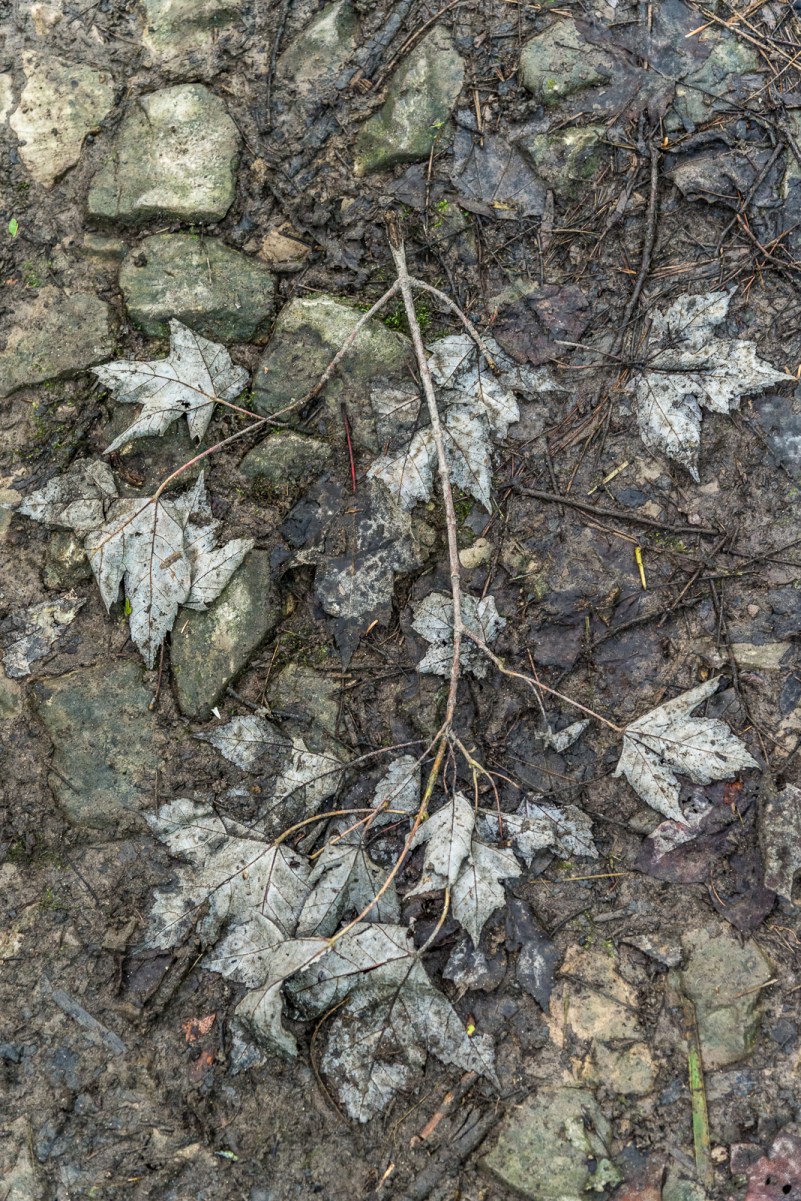 08212016 Caley Reservation-85