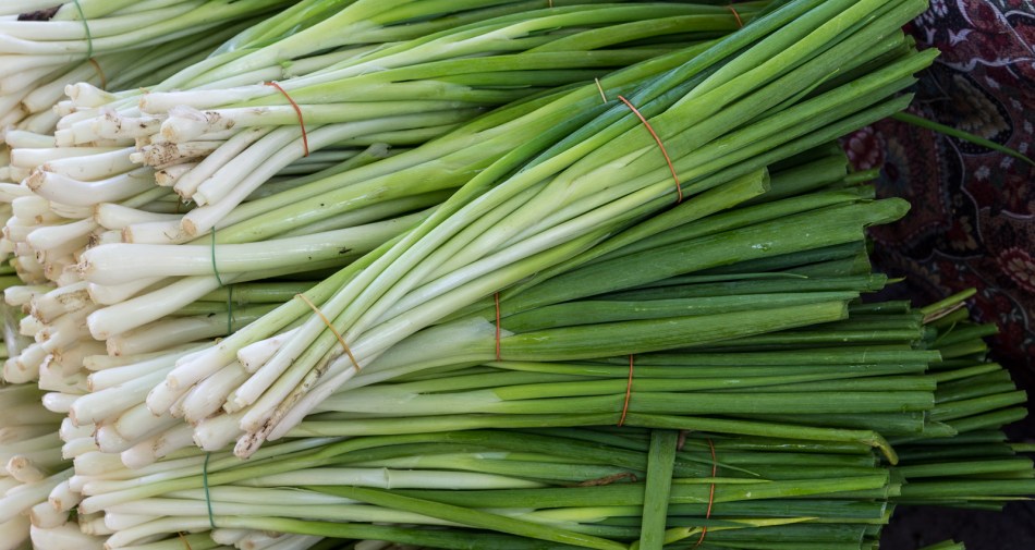 2016-wisconsin-54-edit