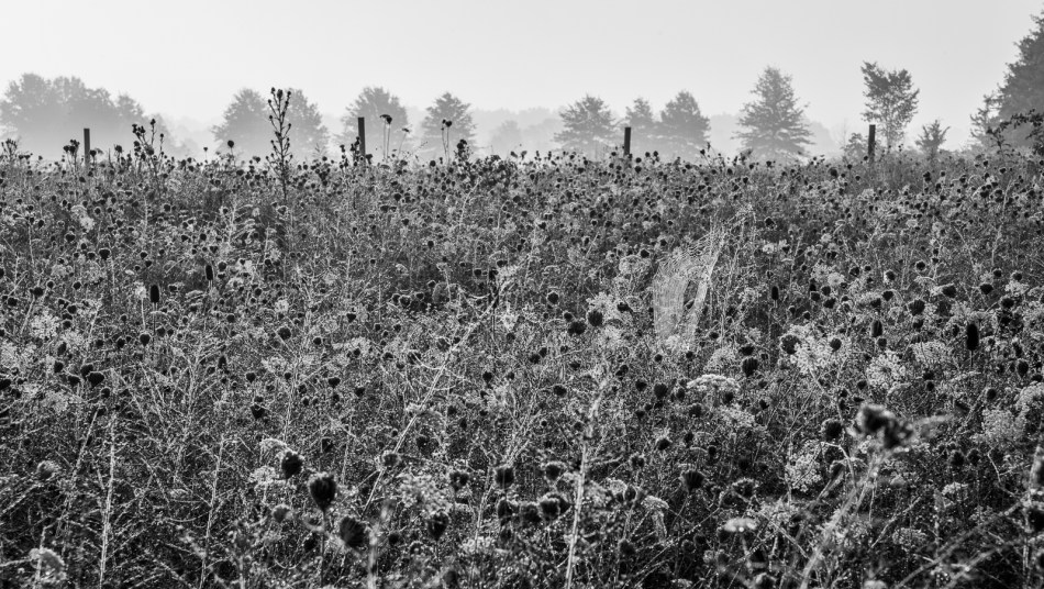 09032014-oon-6-edit-2