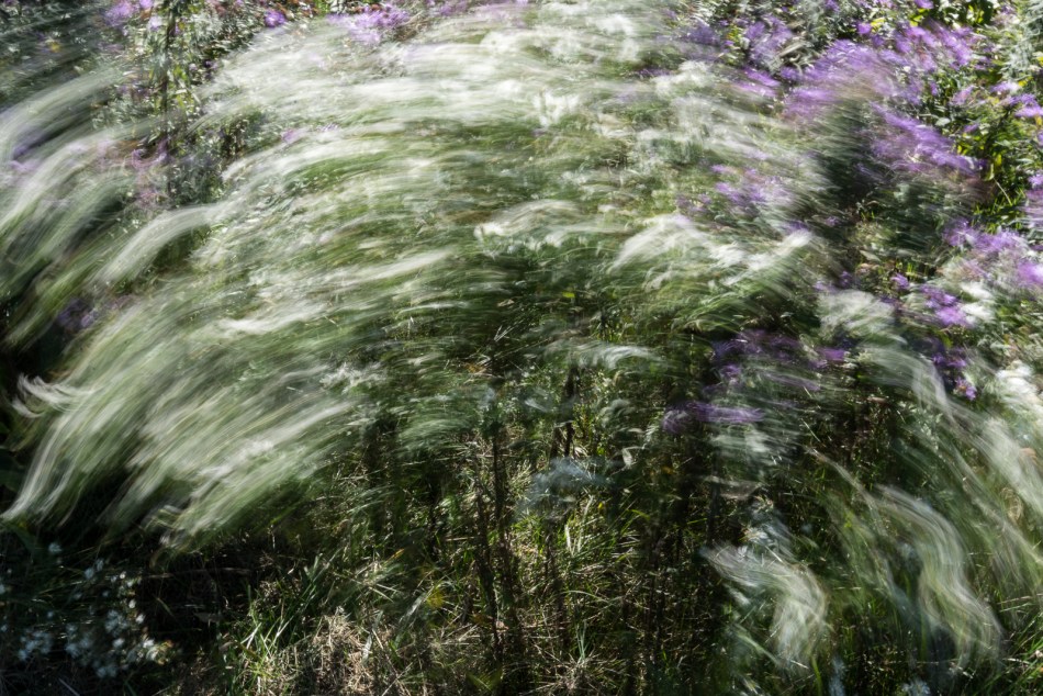 10082016-kendal-at-oberlin-46