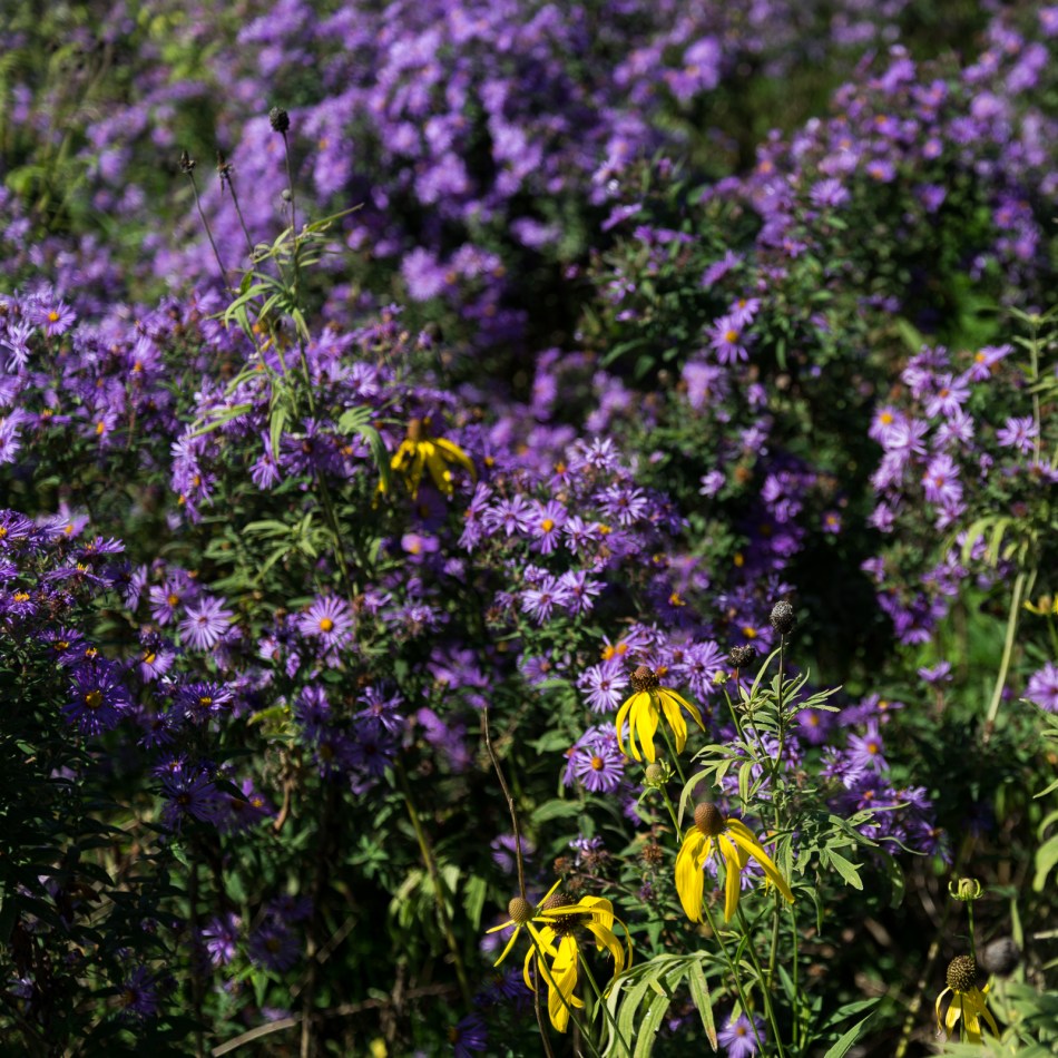 10082016-kendal-at-oberlin-60