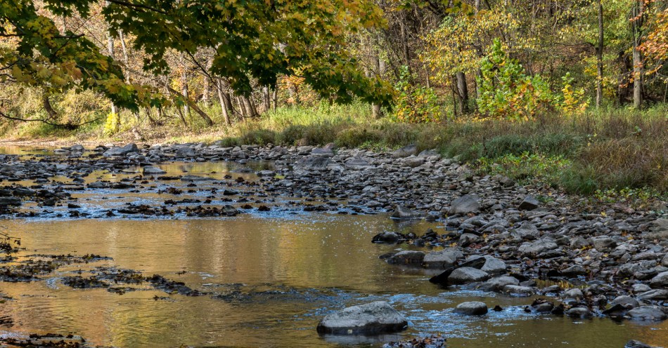 10192016-schoepfle-garden-55