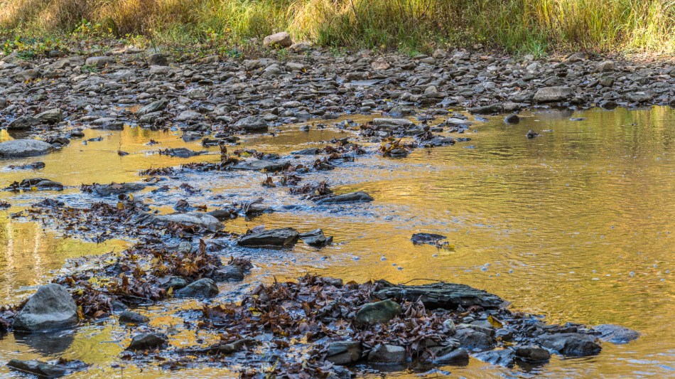 10192016-schoepfle-garden-60