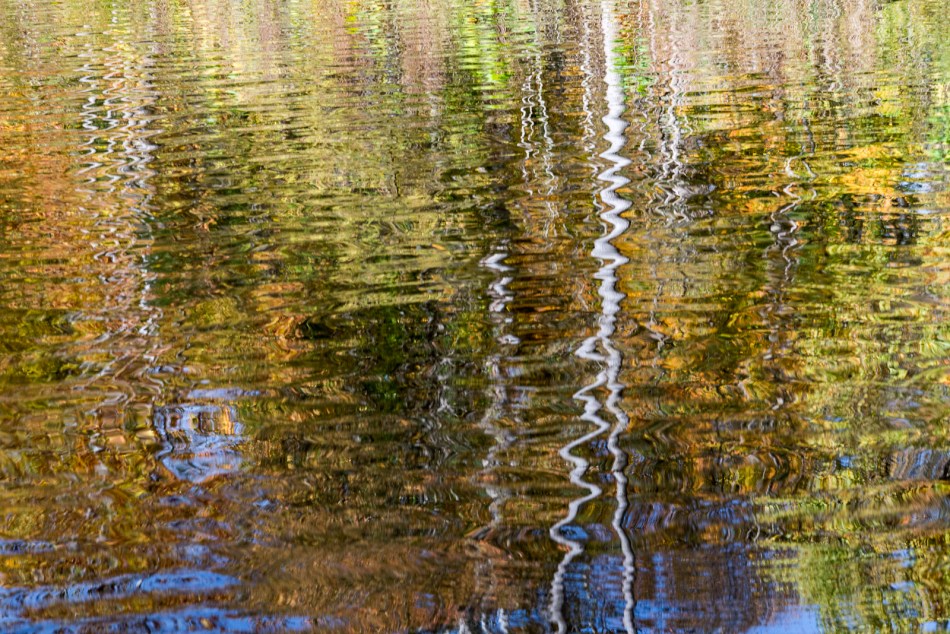 10192016-schoepfle-garden-102