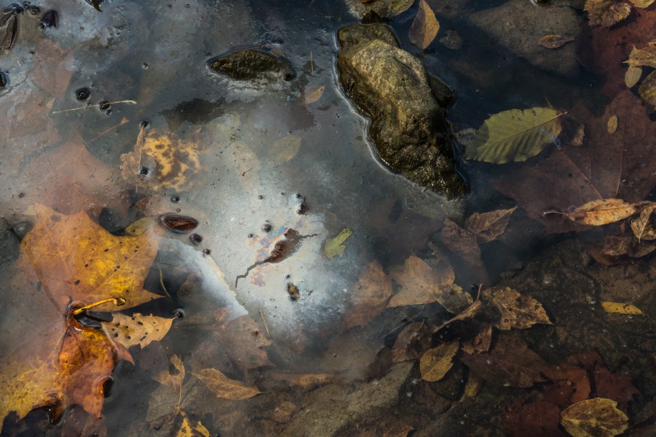 10192016-schoepfle-garden-131