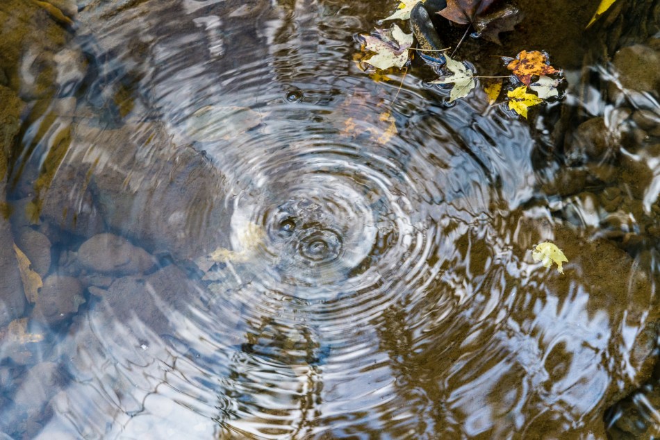 10192016-schoepfle-garden-43