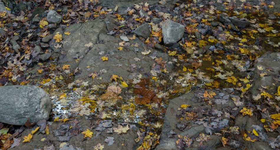 10192016-schoepfle-garden-49