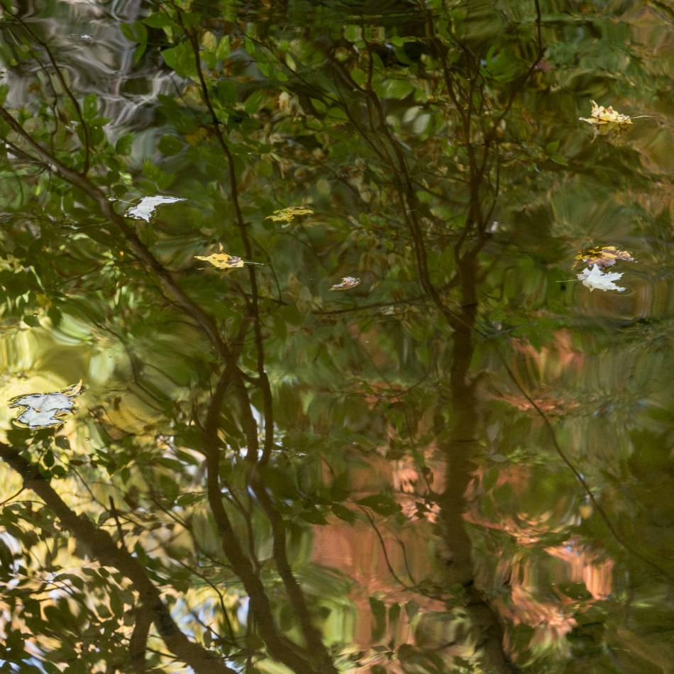 10192016-schoepfle-garden-75