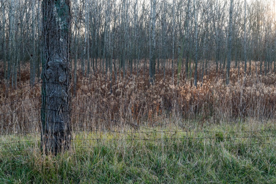 11272016-wandering-northern-ohio-20