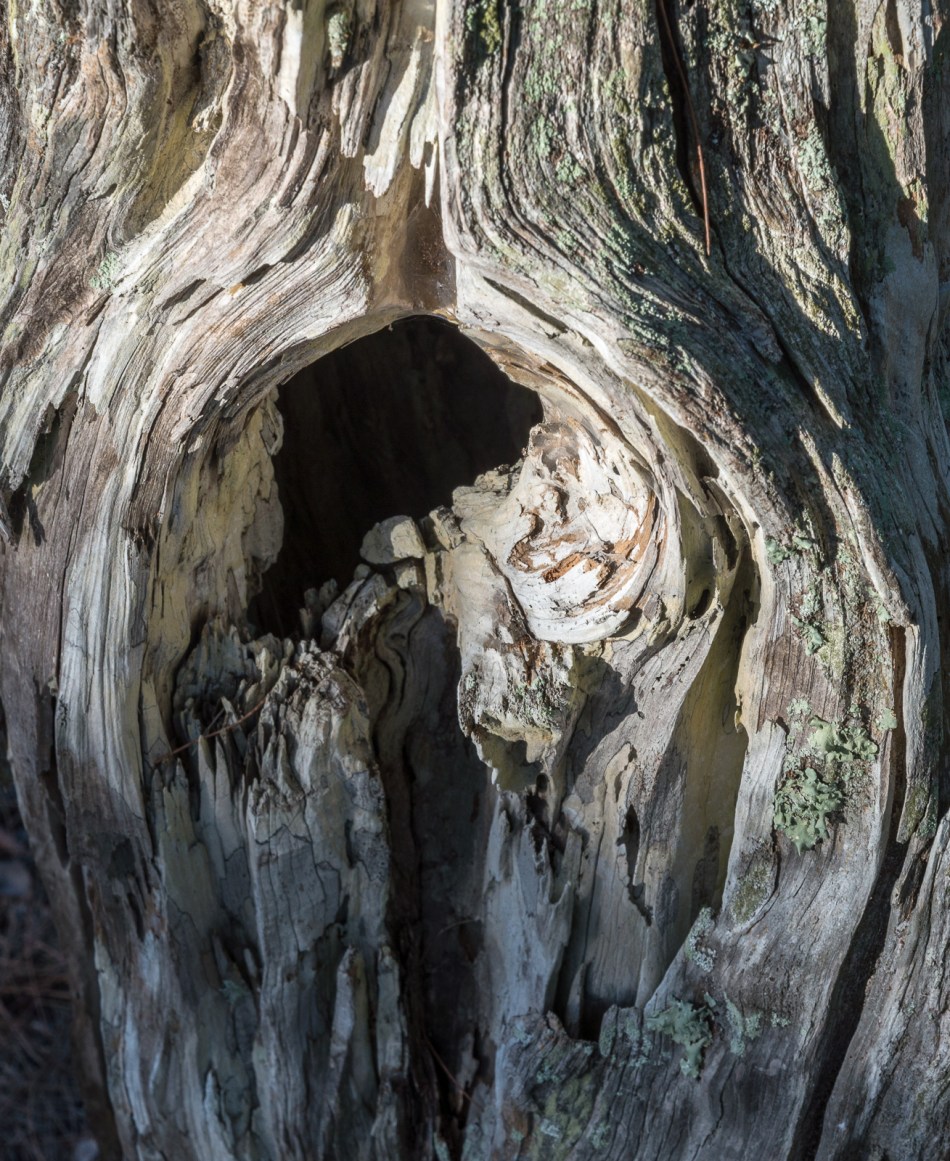 01012016-south-lido-park-32