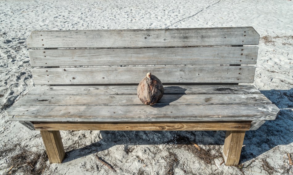 01012016-south-lido-park-65