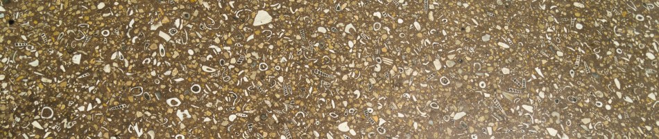 01012016-south-lido-park-66