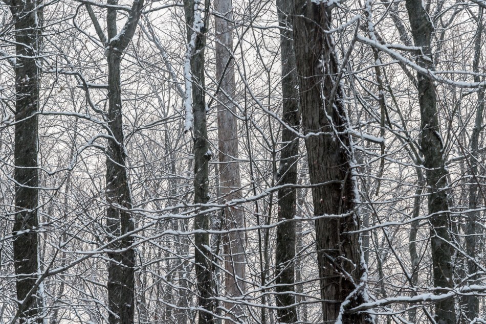 04092016-our-ohio-property-14