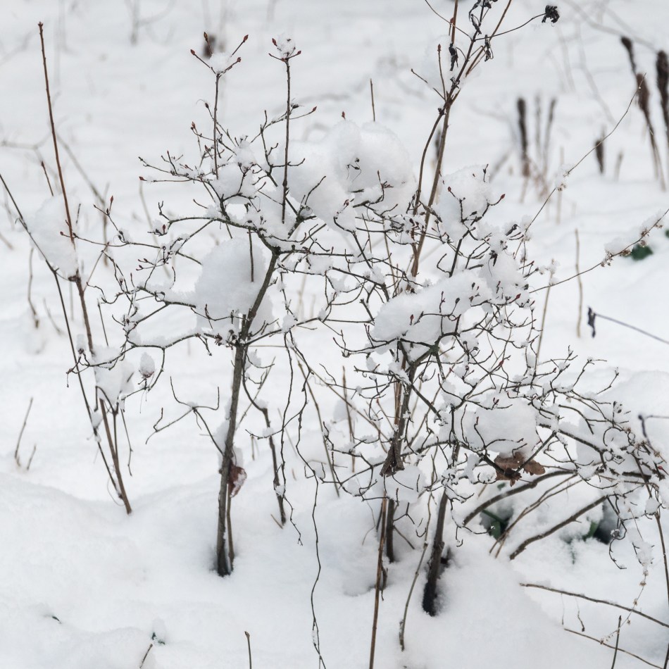04092016-our-ohio-property-19