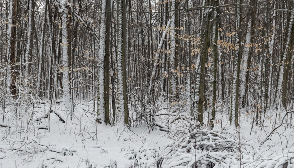 04092016-our-ohio-property-7