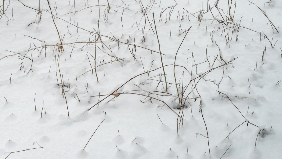 04102016-our-ohio-property-17