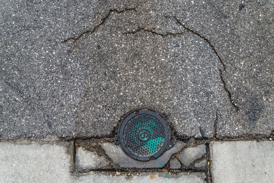 12262016-selby-gardens-86